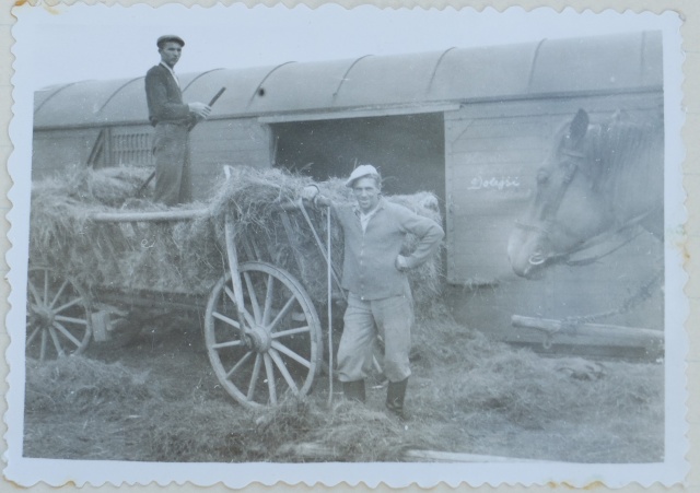 Sucha v roce 1947. Vysočinští museli seno nadělat na Šumavě.